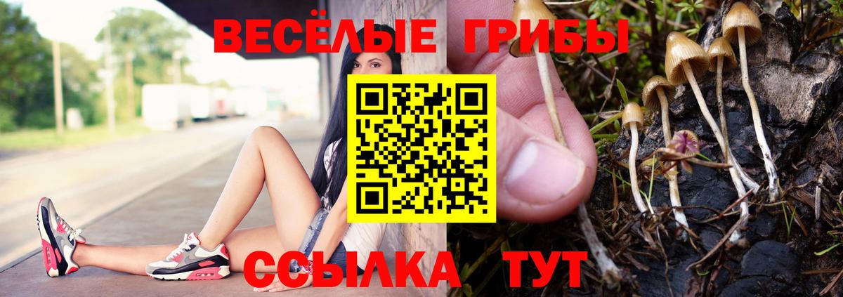 Галлюциногенные грибы Magic Shrooms  Вход с VPN  Галлюциногенные грибы мухоморы  Фролово 